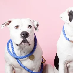 Adjustable Rope Leash, Light Tan