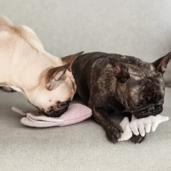 ANGEL FISH Enrichment Dog Toy