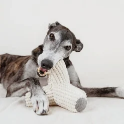 BREUER Enrichment Dog Toy