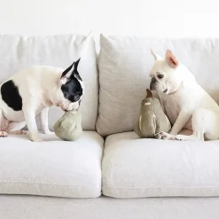 BUTTERNUT Snuffle Gourd, Two Sizes