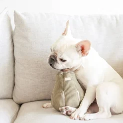 BUTTERNUT Snuffle Gourd, Two Sizes