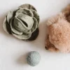 CABBAGE POP Enrichment Dog Toy