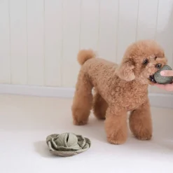 CABBAGE POP Enrichment Dog Toy