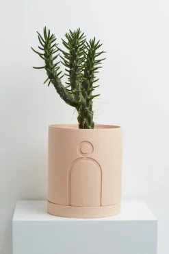Capra Etch Planters, Salt