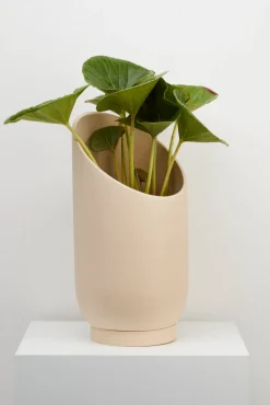 Capra Summit Planters