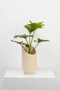 Capra Summit Planters