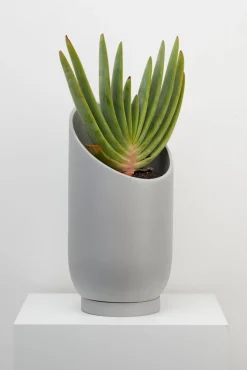 Capra Summit Planters