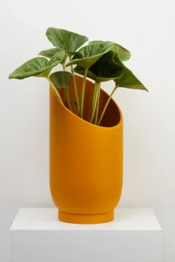 Capra Summit Planters