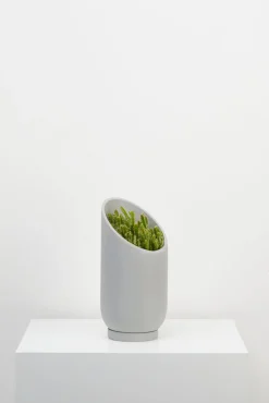 Capra Summit Planters