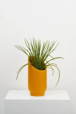 Capra Summit Planters