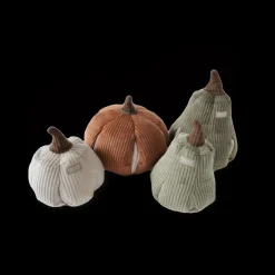 CINDERELLA Silent Enrichment Dog Toy