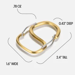 Coachwhip Carabiner Key Ring, Stainless Steel