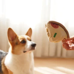 DEEP DISH PIZZA//ENRICHMENT DOG TOY