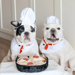 DEEP DISH PIZZA//ENRICHMENT DOG TOY