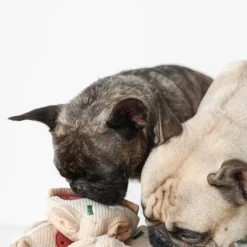 DEEP DISH PIZZA//ENRICHMENT DOG TOY