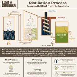 Ecuadorian Palo Santo Essential Oil, 5 mL