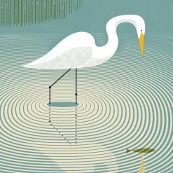 Egret
