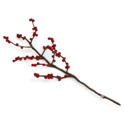 Felt Branch, Red Berries