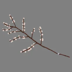 Felt Branch, White berries