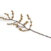 Felt Branch, Yellow Berries