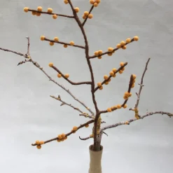 Felt Branch, Yellow Berries