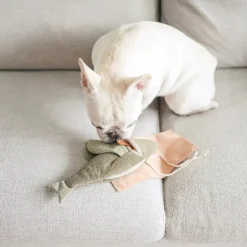FLYING FISH Enrichment Dog Toy