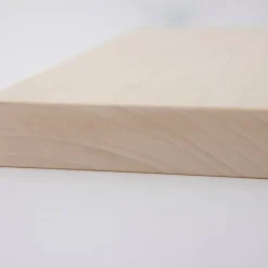 Gingko Wood Cutting Board, Medium with Handle