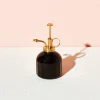 Glass and Brass Plant Mister