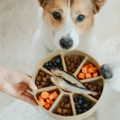 3-IN-1 BENTO Slow Feeder Bowl