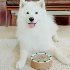 3-IN-1 BENTO Slow Feeder Bowl