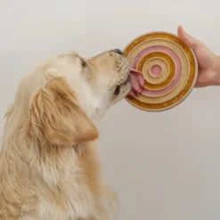 3-IN-1 BENTO Slow Feeder Bowl