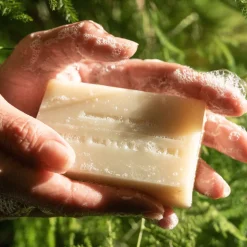 Juniper Ridge Bar Soap, Redwood Mist