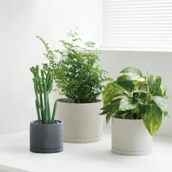 Kinto Porcelain Large Plant Pot, Dark Grey