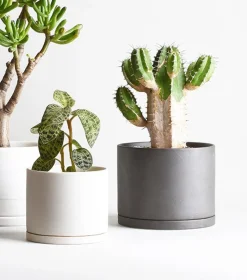 Kinto Porcelain Medium Plant Pot, Light Grey