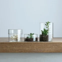 Kinto SCHALE Glass Case, Clear