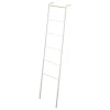 Leaning Storage Ladder