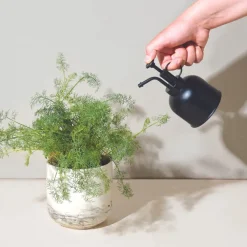 Matte Black Plant Mister