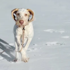 Nomad Muted Teal Ultra Light Long Line, 12 FT