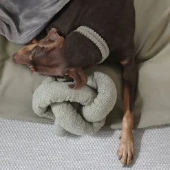 O NOU Enrichment Dog Toy