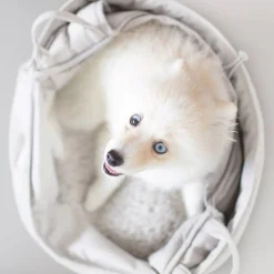 OLLA Petite Pet Carry-Cot / Bed, Koala