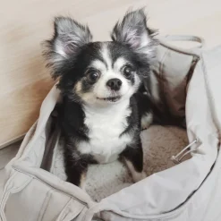 OLLA Petite Pet Carry-Cot / Bed, Koala