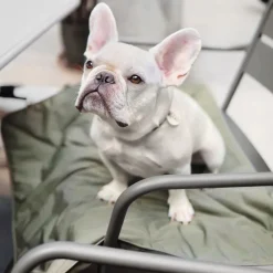 ORII Waterproof Ultra Lightweight Travel Mat, Fern