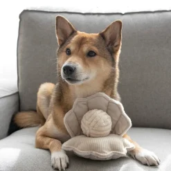 OYSTER POP Enrichment Dog Toy