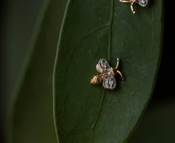 Perdita Minima Studs