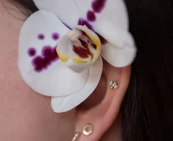 Perdita Minima Studs