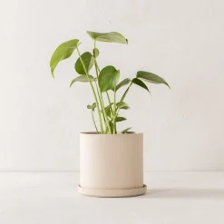 Sand Stoneware Planter 6" - AS-IS