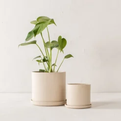 Sand Stoneware Planter 6