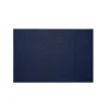 Solid Shag Doormat 18" x 28", Indigo