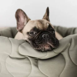 TAART Reversible Pet Bed, Fern