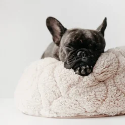 TAART Reversible Pet Bed, Plum